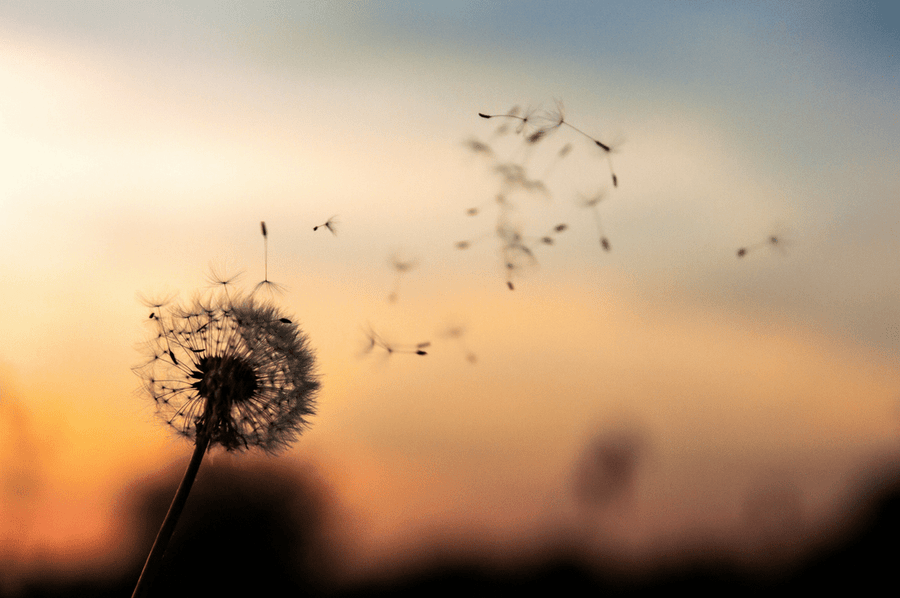 Early pregnancy loss deserves empathy